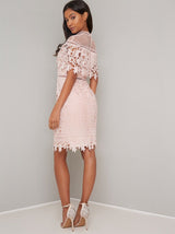 Cap Sleeved Lace Crochet Bodycon Midi Dress in Pink
