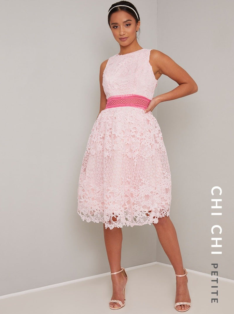 Petite Lace Scalloped Midi Dress In Pink