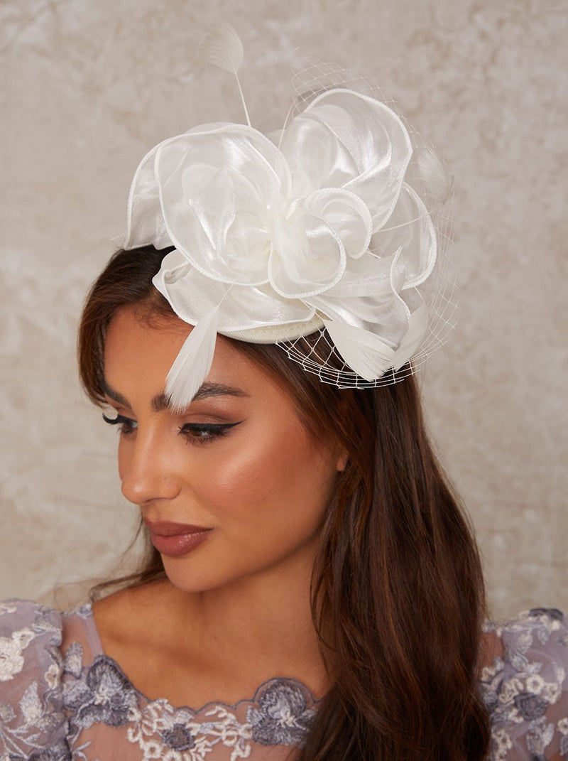 Mesh Detail Feather Fascinator in Neutral